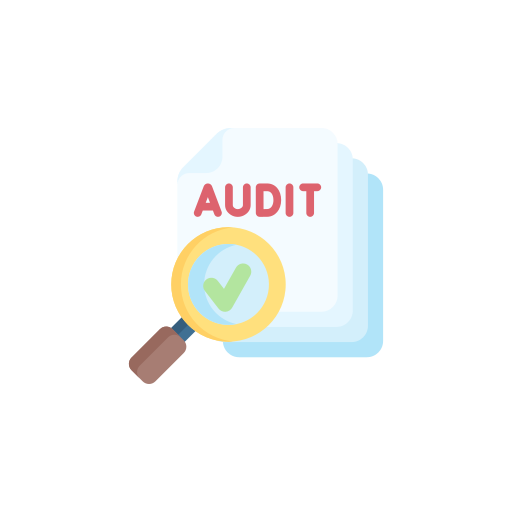 What is an Audit?